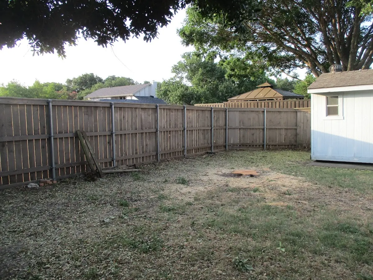 Cleared yard after professional tree removal in Penn Valley